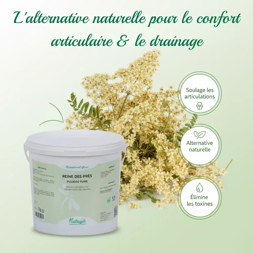 Infographie Reine des prés Nutragile : bienfaits articulations et drainage cheval.