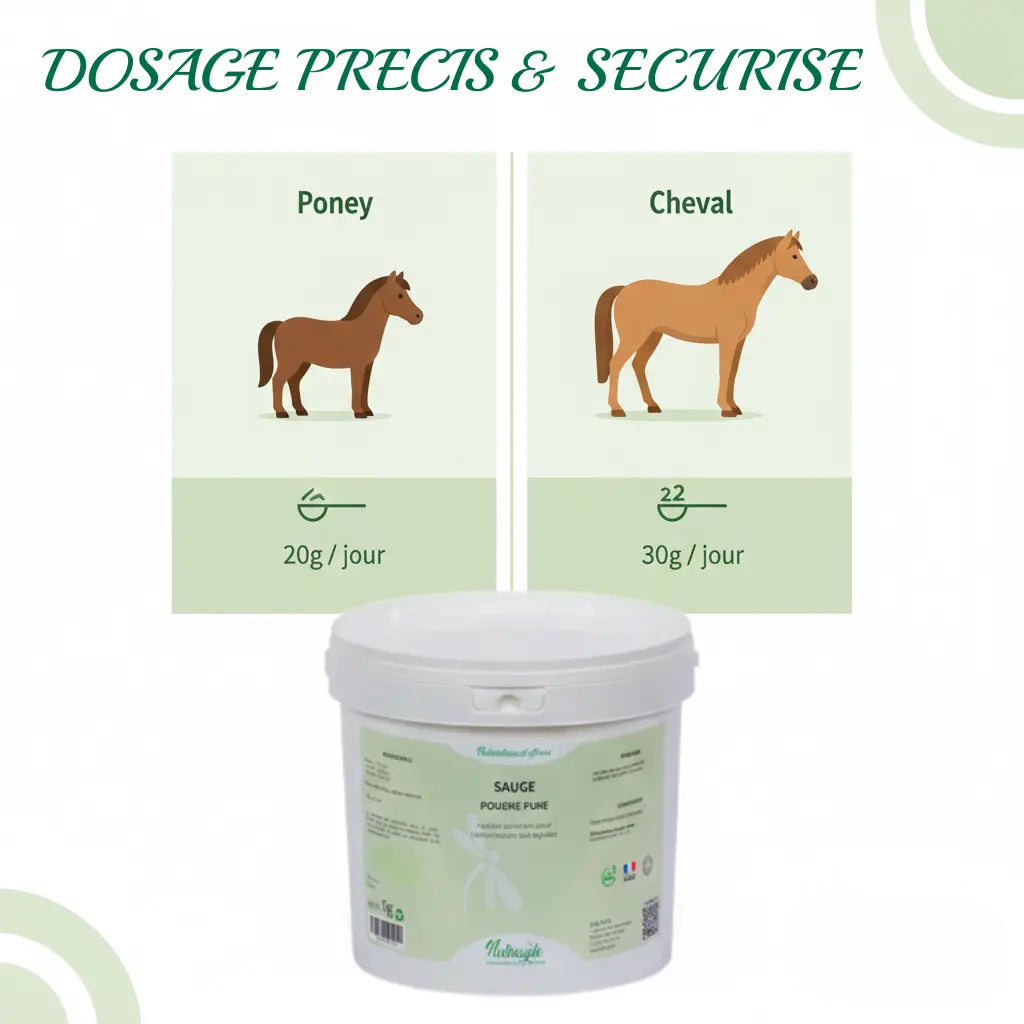 Guide de dosage de la sauge pour poney et cheval de sport Nutragile.