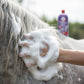 Application shampooing détachant robe grise cheval