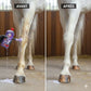 Résultat avant après shampooing pour cheval blanc Leovet