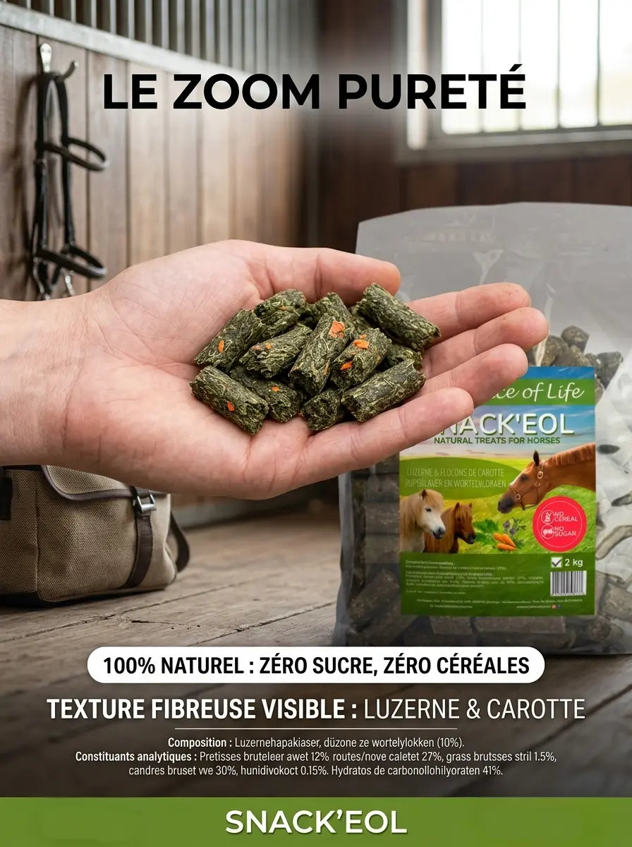 Bonbons naturels chevaux sans sucre Snack EOL avec morceaux de carotte.