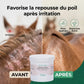 Résultat repousse du poil cheval après application du baume Nutragile.