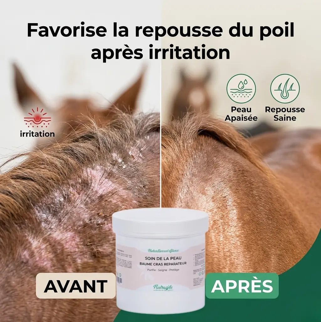 Résultat repousse du poil cheval après application du baume Nutragile.