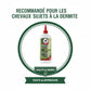 Soin dermatologique équin Leovet certifié pour chevaux sensibles et dermiteux.