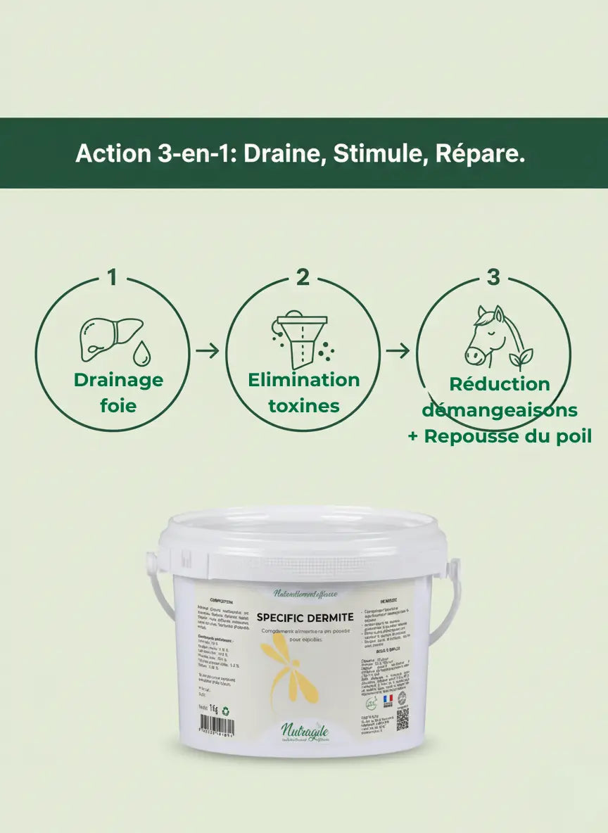 Schéma action drainage hépatique et repousse poil pour cheval dermiteux.