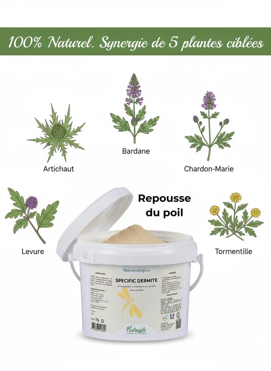 Complément naturel dermite cheval Nutragile aux plantes drainantes et apaisantes.