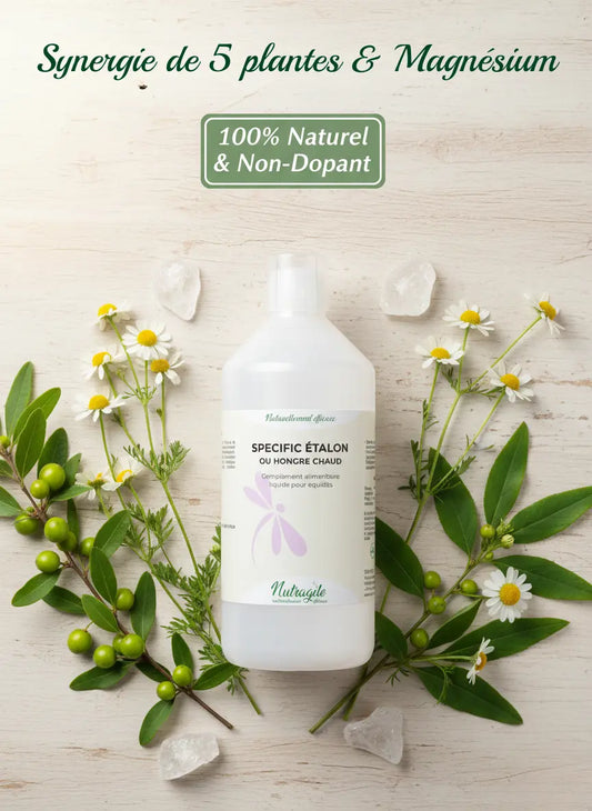 Ingrédients naturels du complément Specific Étalon Nutragile : gattilier et magnésium.