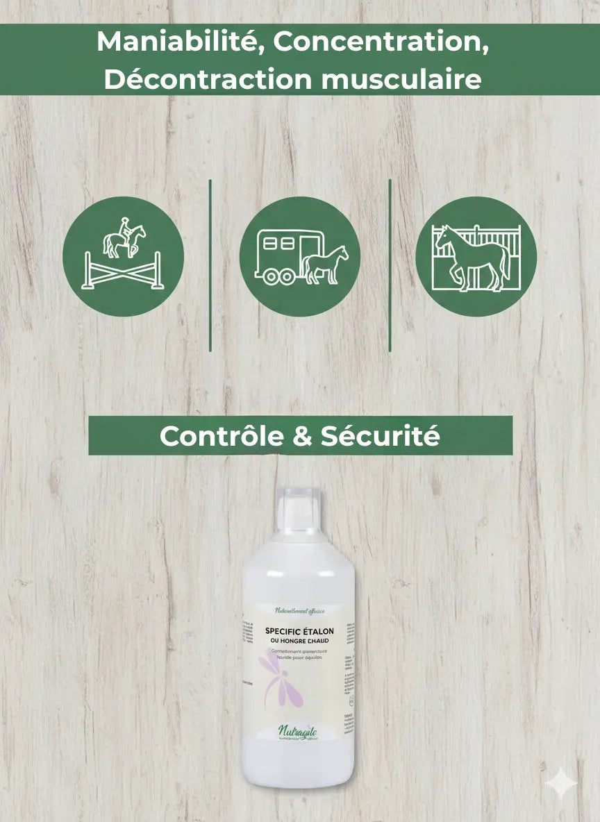 Bénéfices Nutragile : meilleure concentration et décontraction du cheval au travail