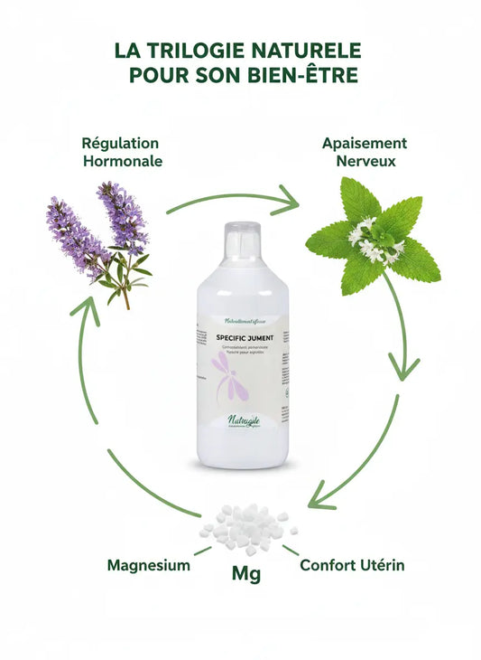 Ingrédients naturels du complément Spécific Jument pour le confort hormonal