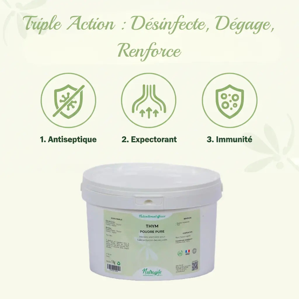 Bienfaits du thym pour cheval : poumons, immunité et digestion.