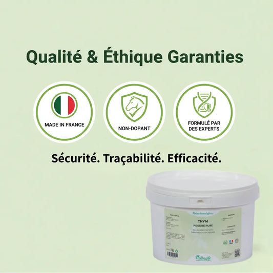 Poudre de thym pure Nutragile, complément naturel sans additifs.